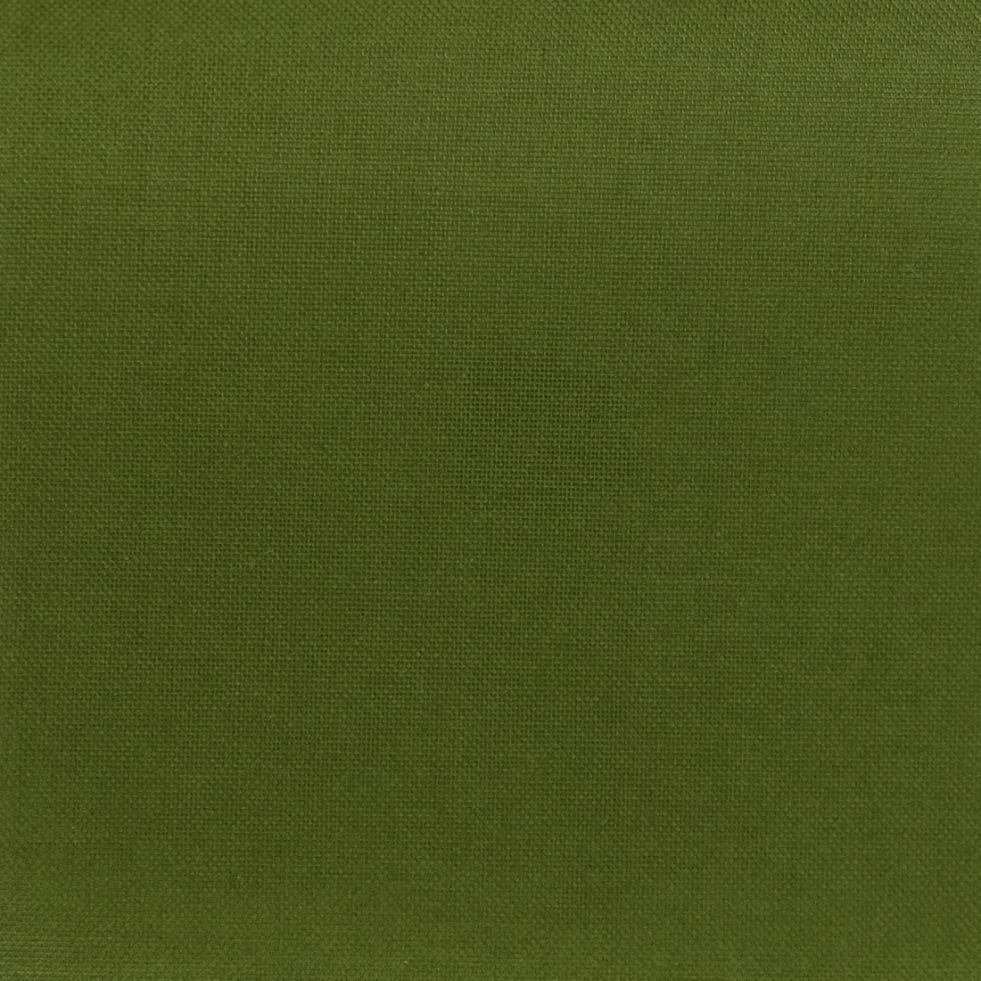 580_064L_Olive